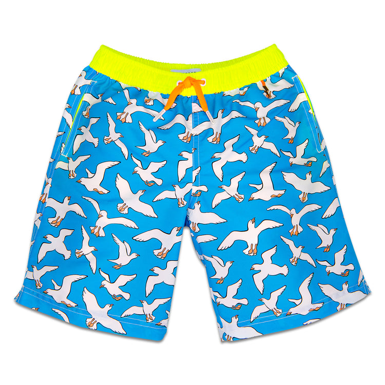 SEAGULLS Dexter Swim Short