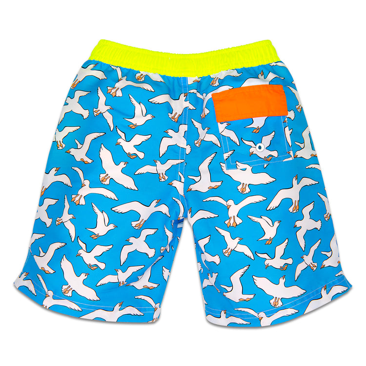 SEAGULLS Dexter Swim Short