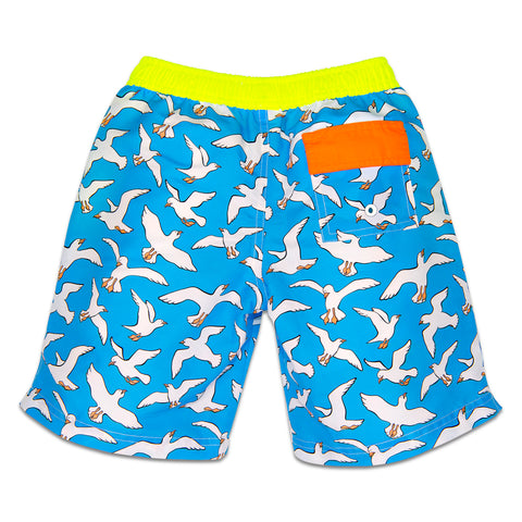 seagulls Dexter Swim Short